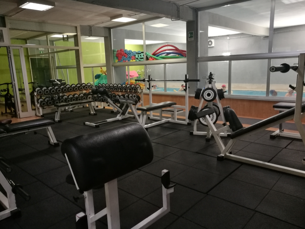 Wikigym